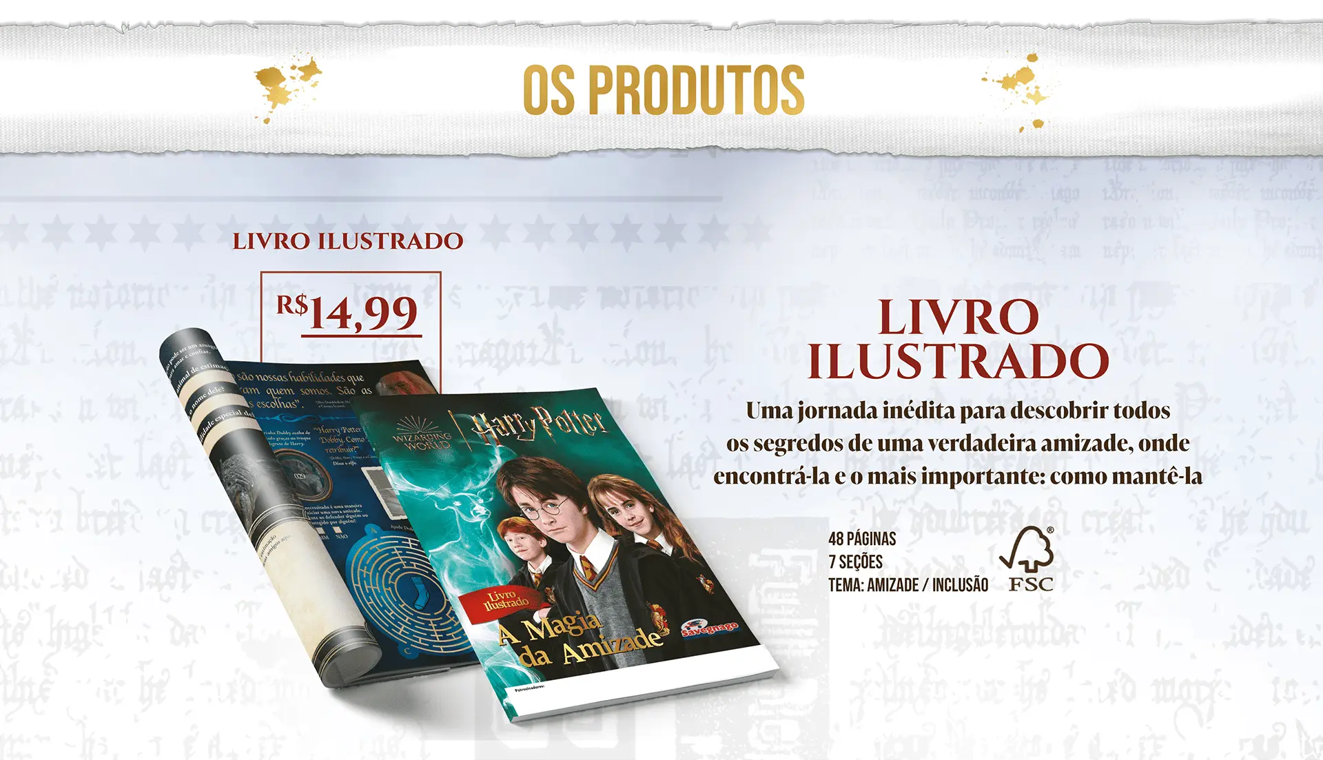 os produtos harry porter